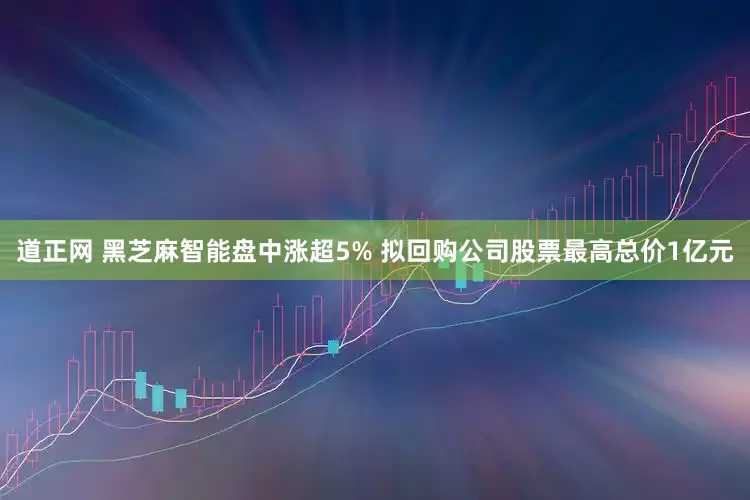 道正网 黑芝麻智能盘中涨超5% 拟回购公司股票最高总价1亿元