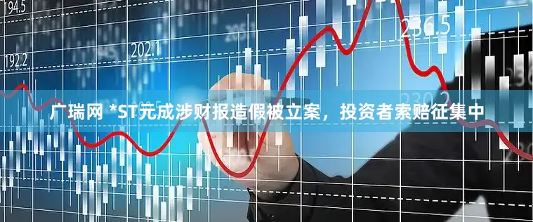 广瑞网 *ST元成涉财报造假被立案，投资者索赔征集中