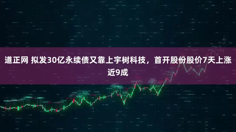 道正网 拟发30亿永续债又靠上宇树科技，首开股份股价7天上涨近9成